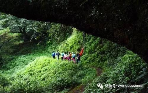 123澳门正版资料老玩家